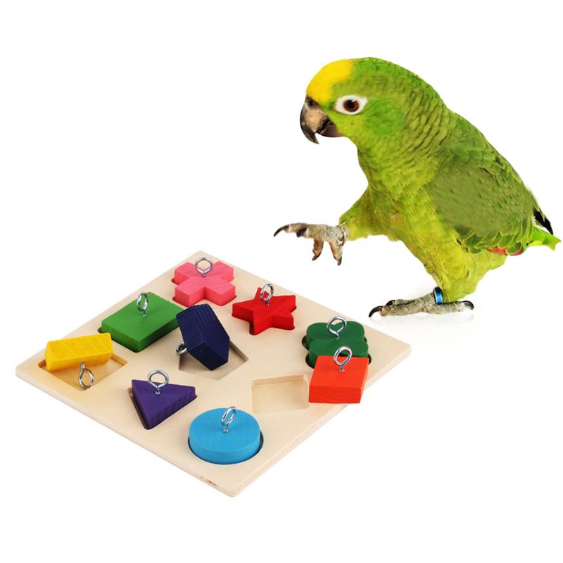 Parrot Educational Block Puzzle Toy