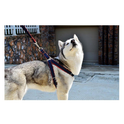 Dog Jean Harness with Leash