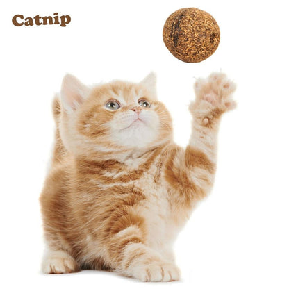 Cat Natural Catnip Treat Ball