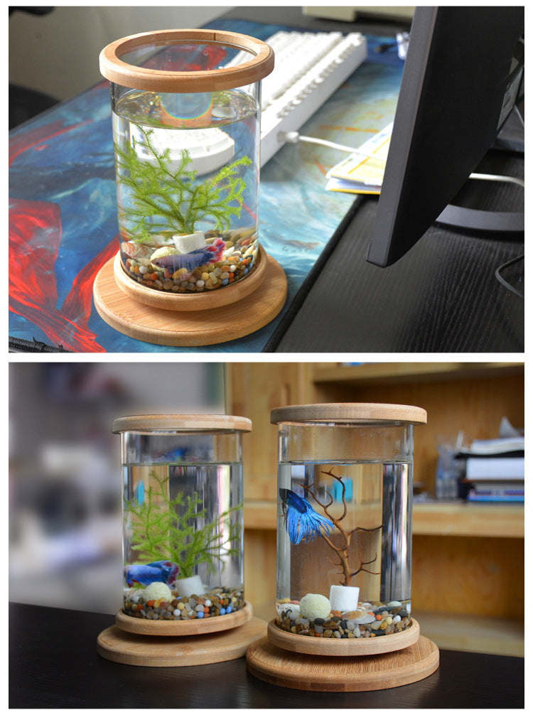 Small Bamboo Glass Aquarium