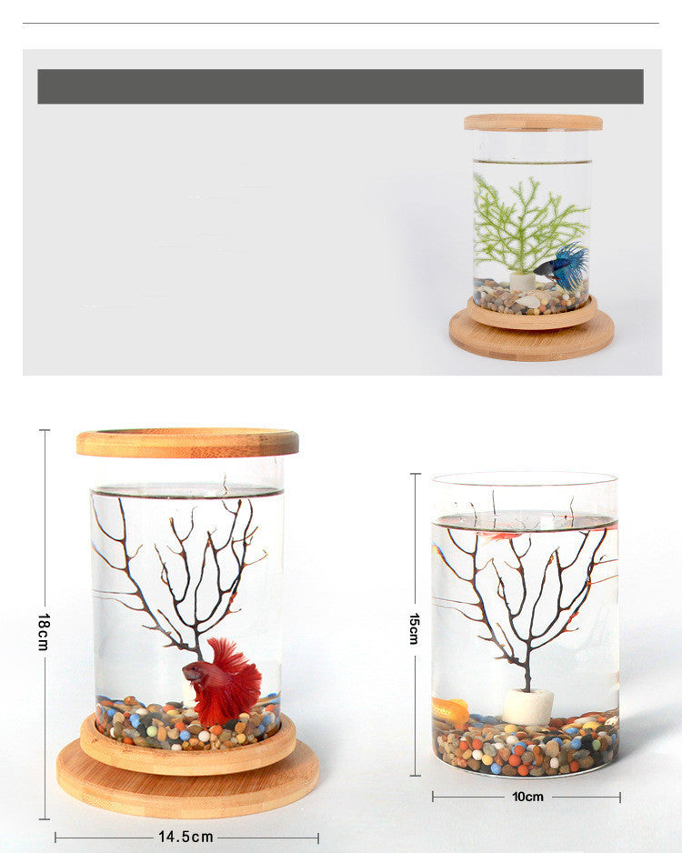 Small Bamboo Glass Aquarium