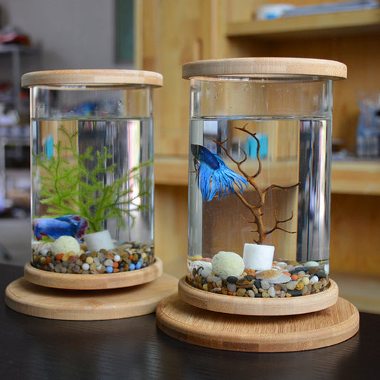 Small Bamboo Glass Aquarium