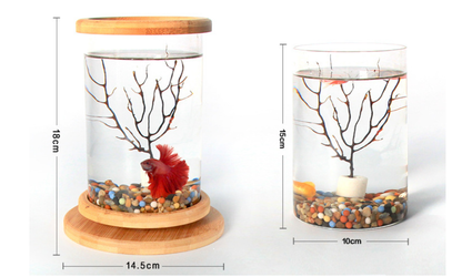 Piccolo acquario in vetro di bambù