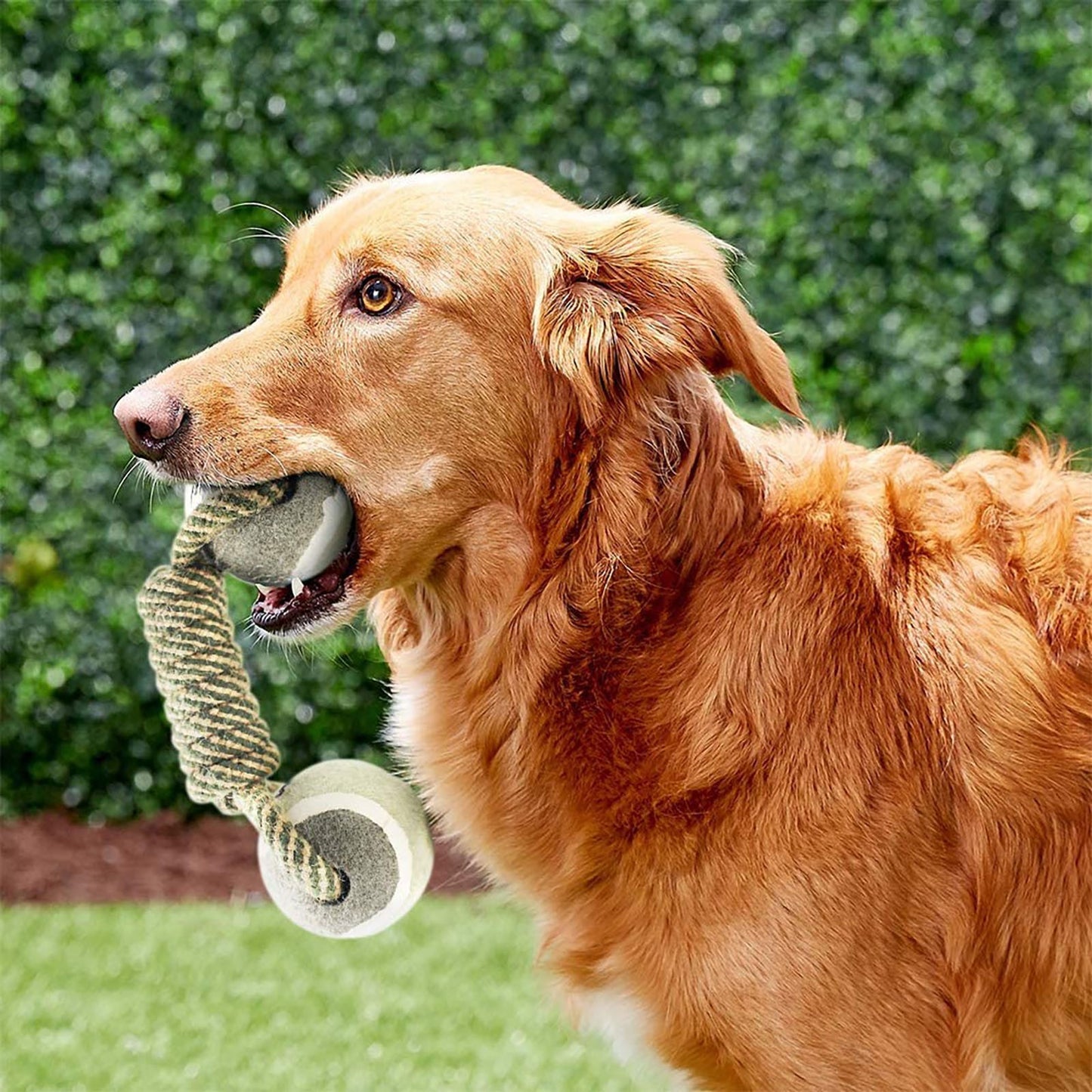 Giocattolo in corda di cotone per cani