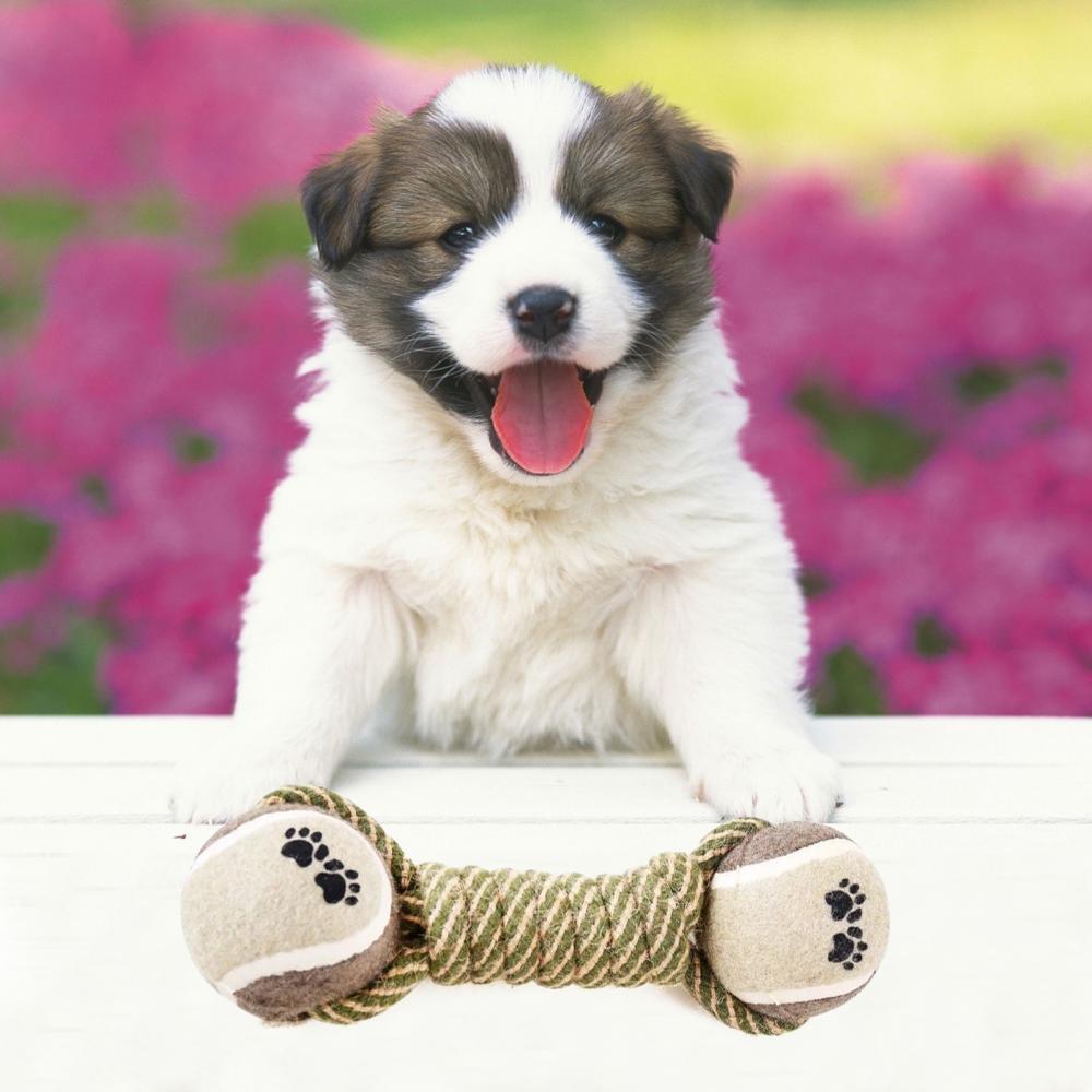 Dog Cotton Rope Toy