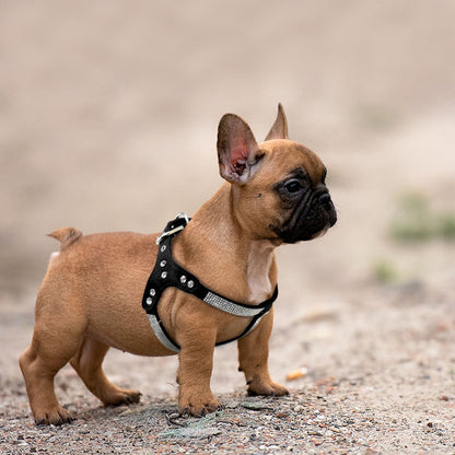 Dog Soft Suede Rhinestone Harness