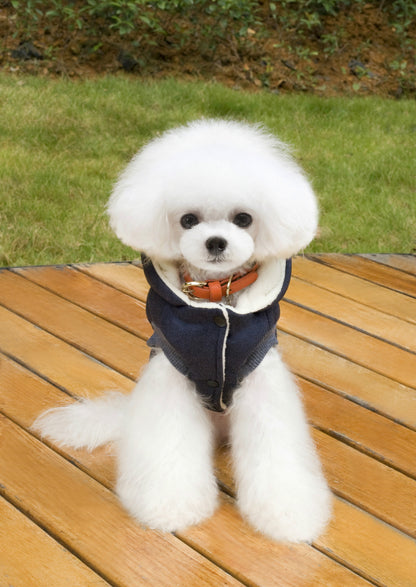 Dog Autumn and Winter Jacket