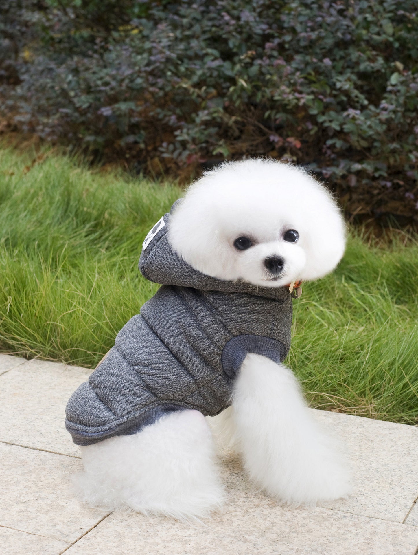 Dog Autumn and Winter Jacket