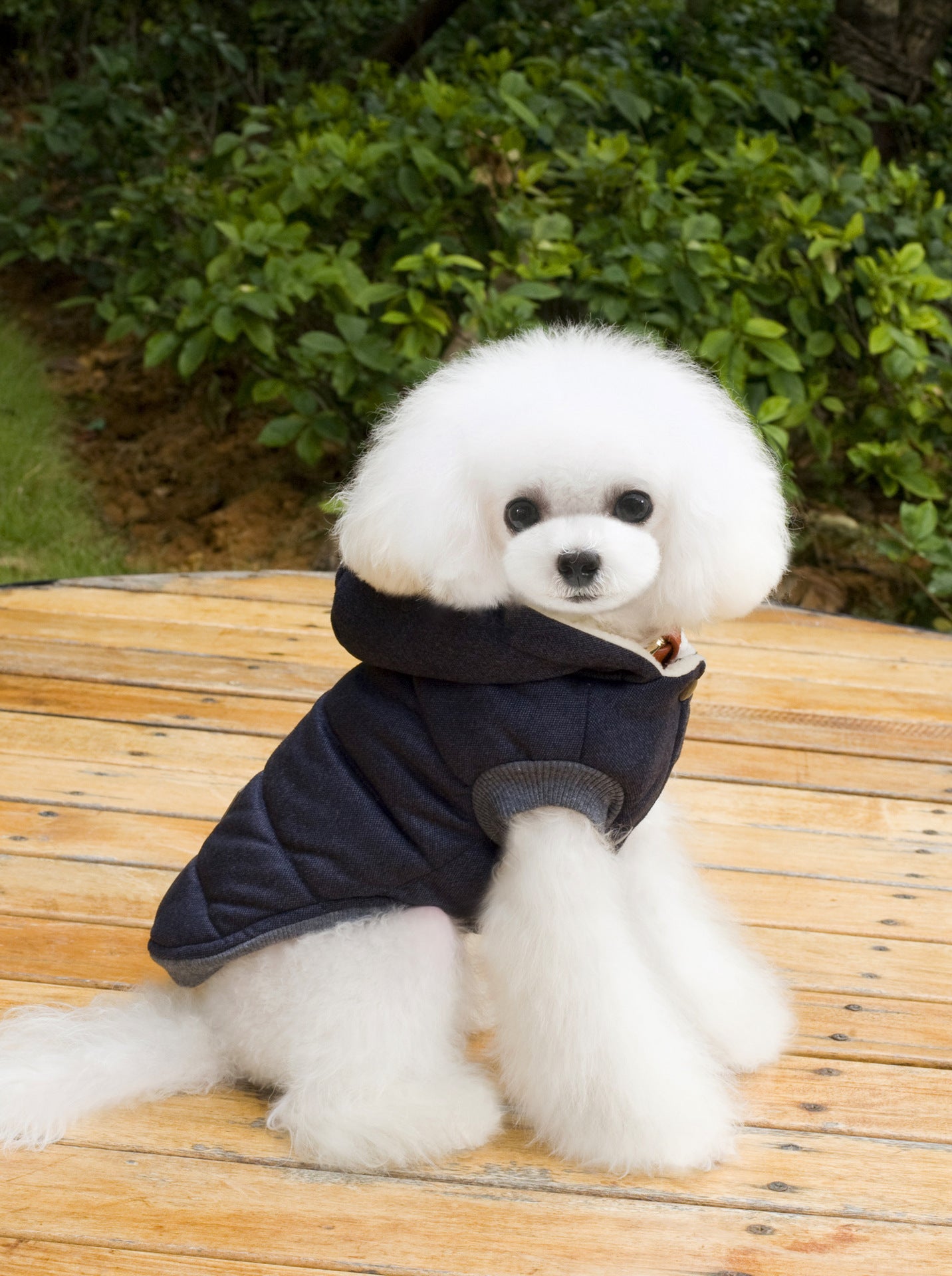 Dog Autumn and Winter Jacket