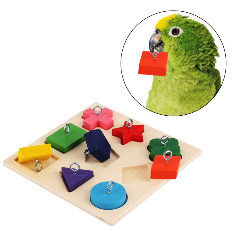 Parrot Educational Block Puzzle Toy