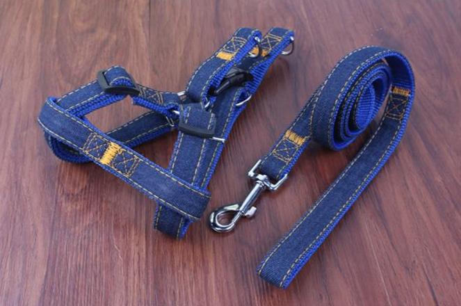 Dog Jean Harness with Leash