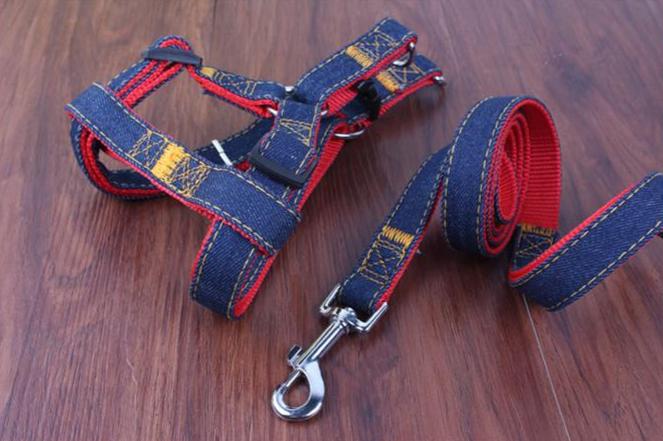 Dog Jean Harness with Leash