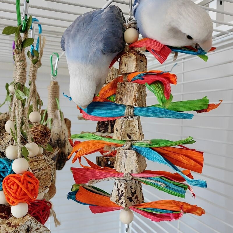 Bird Cage Chew Toys