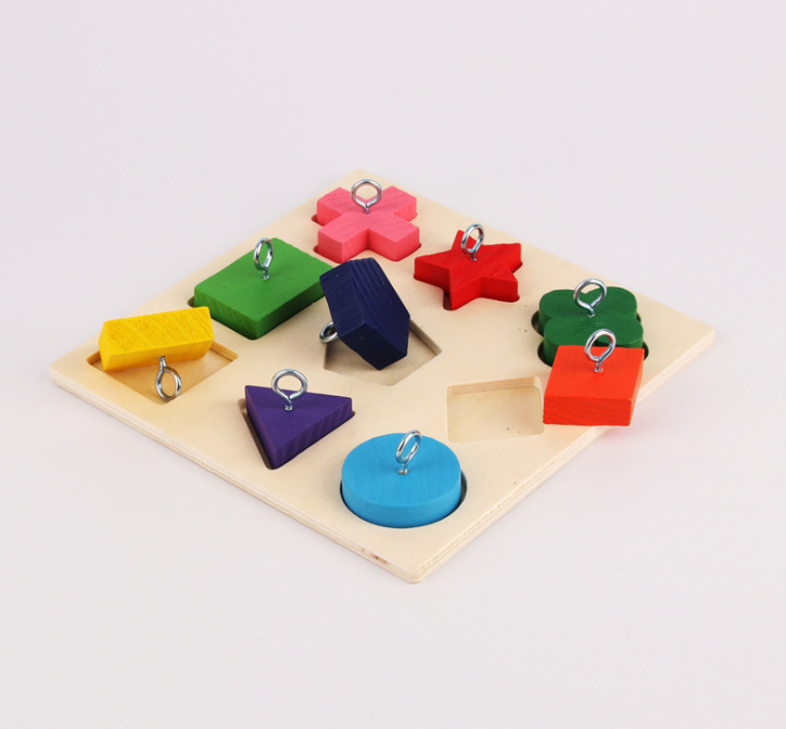 Parrot Educational Block Puzzle Toy