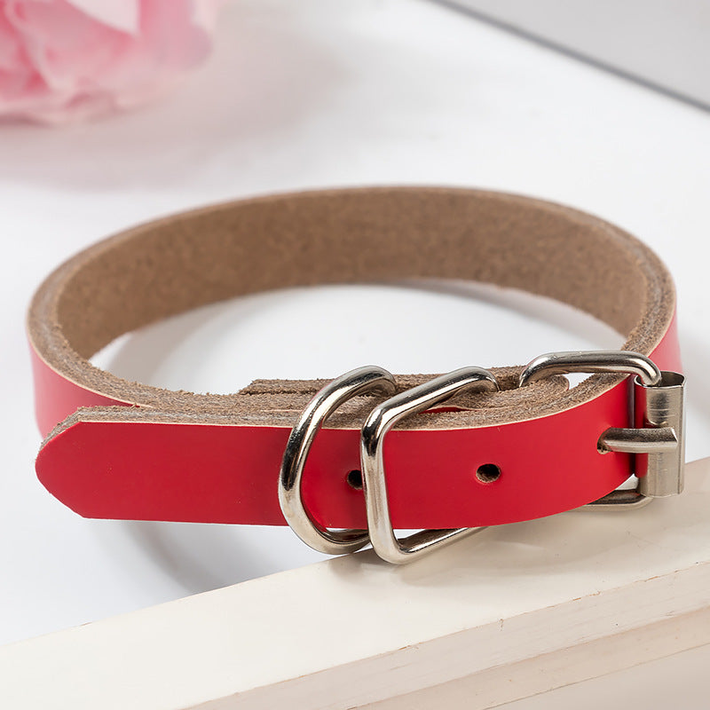 Dog Leather Collar