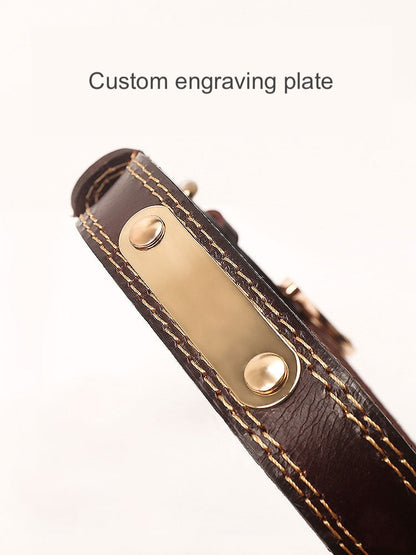 Dog Cowhide Collar with Custom Engraving