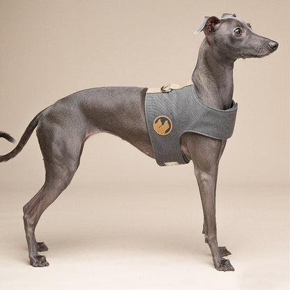 Dog Vest Type Harness