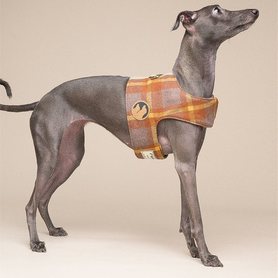 Dog Vest Type Harness