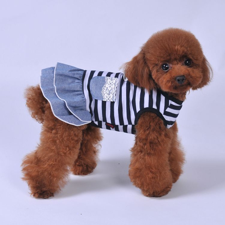 Dog Summer Striped Denim Skirt