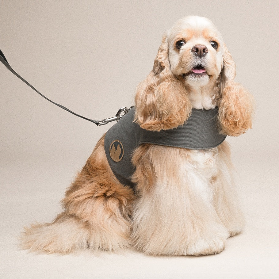 Dog Vest Type Harness