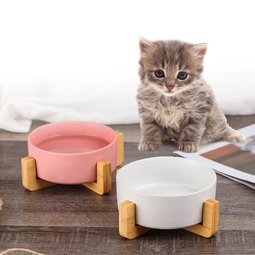 Cat Ceramic Bowl with Wooden Frame