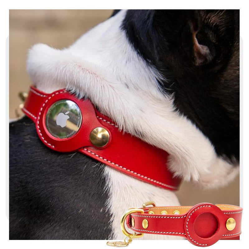 Dog Anti-Loss Apple AirTag Collar