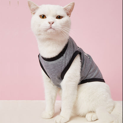 Cat Summer Grey Cotton T-Shirt