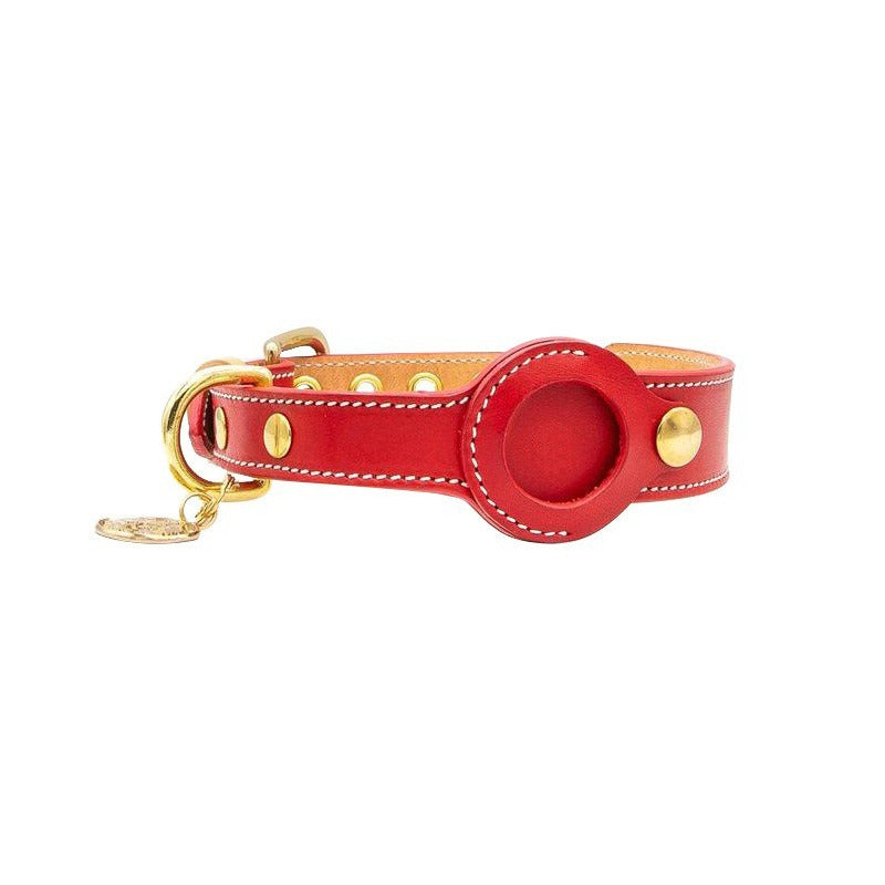 Dog Anti-Loss Apple AirTag Collar