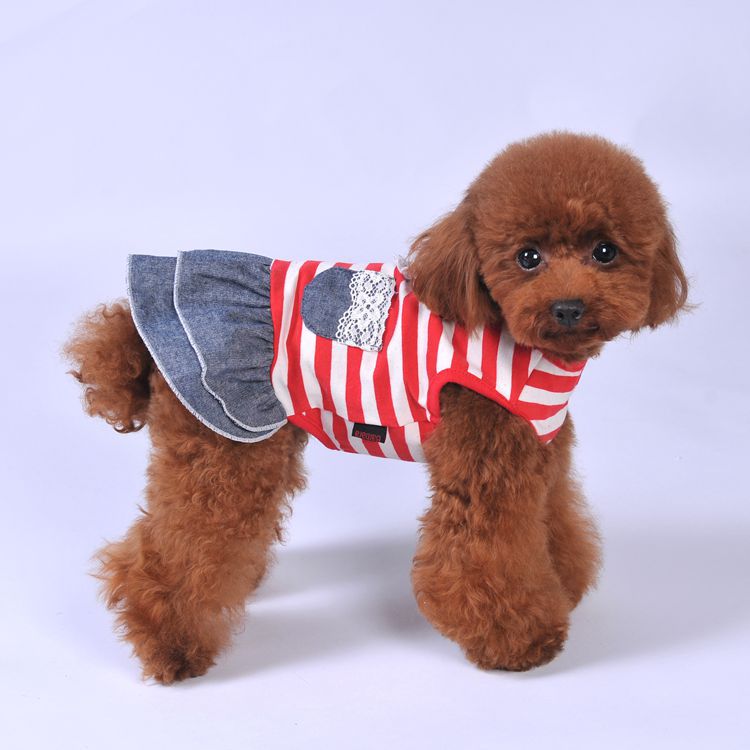 Dog Summer Striped Denim Skirt