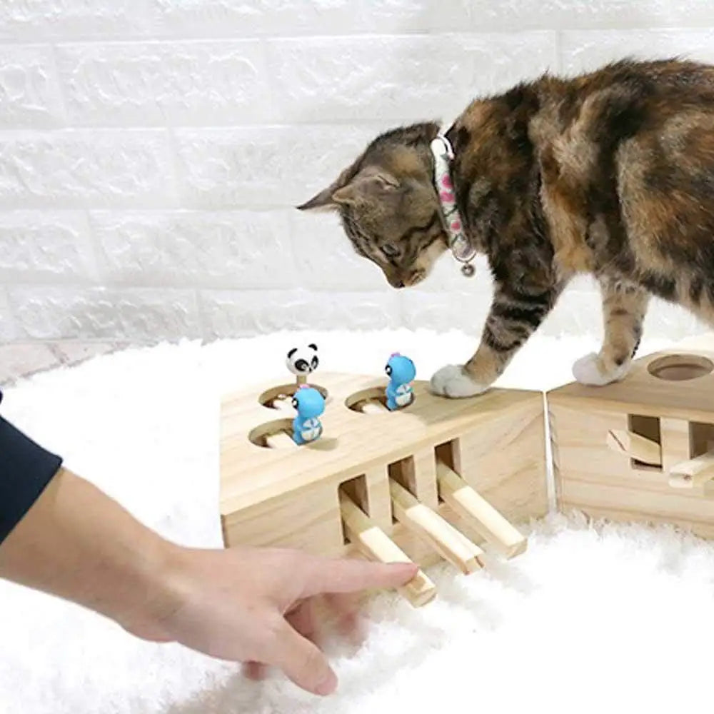 Cat Wooden Interactive Toy