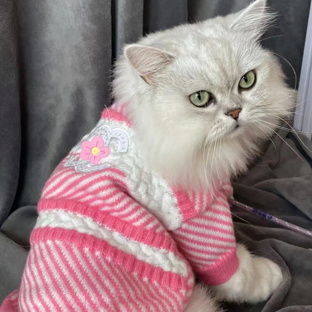 Maglione di lana per gatti