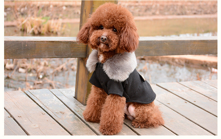 Dog Winter Coat