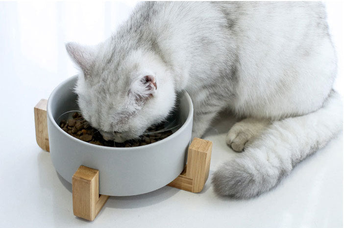 Cat Ceramic Bowl with Wooden Frame