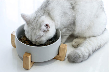 Cat Ceramic Bowl with Wooden Frame