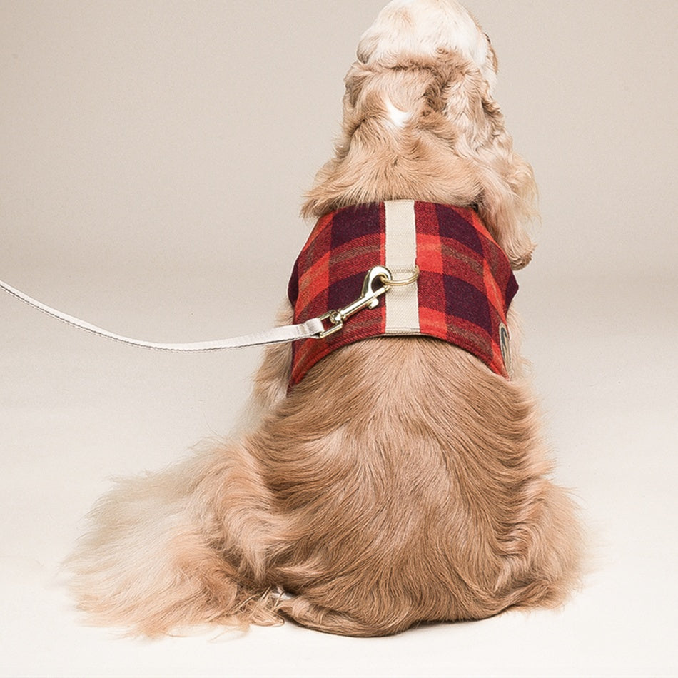 Dog Vest Type Harness